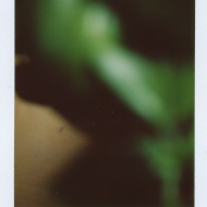 Title: Green Mist, Name: Ayten Suerguen, Fujifilm instax mini 25